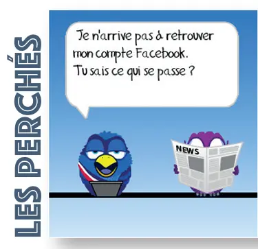 Perchés - GAZETTE-N°2